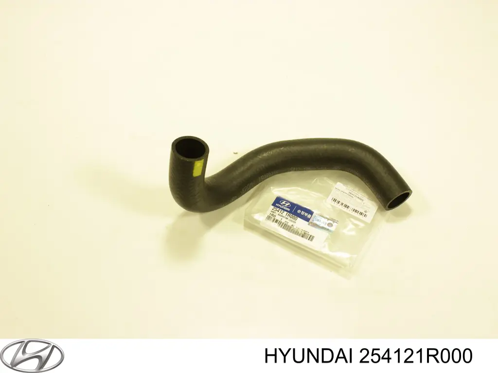 254121R000 Hyundai/Kia Przewód (króciec) chłodnicy dolny