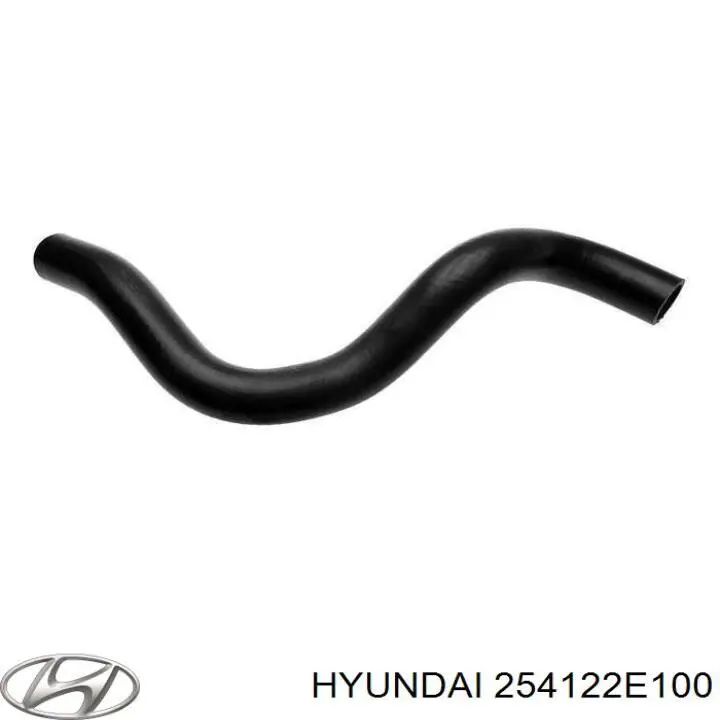 Przewód (króciec) chłodnicy dolny Hyundai/Kia 254122E100 cena, od 14,77 USD