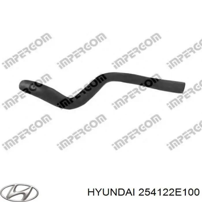 Do koszyka 254122E100 Hyundai/Kia Przewód (króciec) chłodnicy dolny