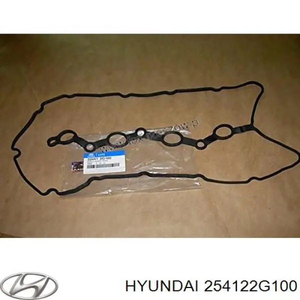 254122G100 Hyundai/Kia Przewód (króciec) chłodnicy dolny