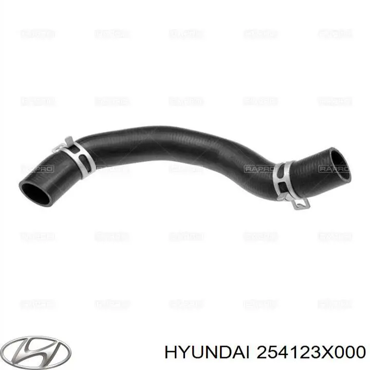 Przewód (króciec) chłodnicy dolny Hyundai/Kia 254123X000 cena, od 7,08 USD
