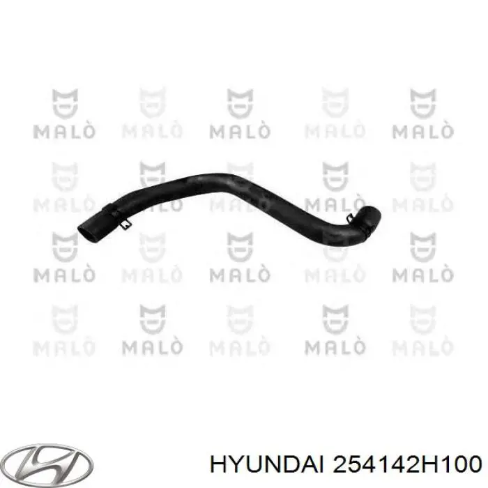 Przewód (króciec) chłodnicy górny Hyundai/Kia 254142H100 cena, od 14,35 USD