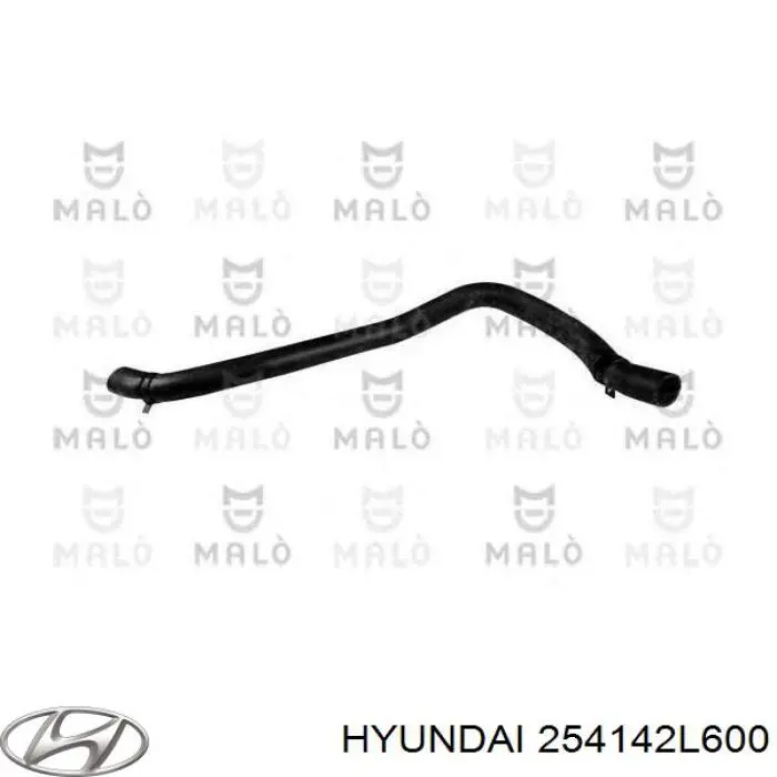 254142L600 Hyundai/Kia Przewód (króciec) chłodnicy górny