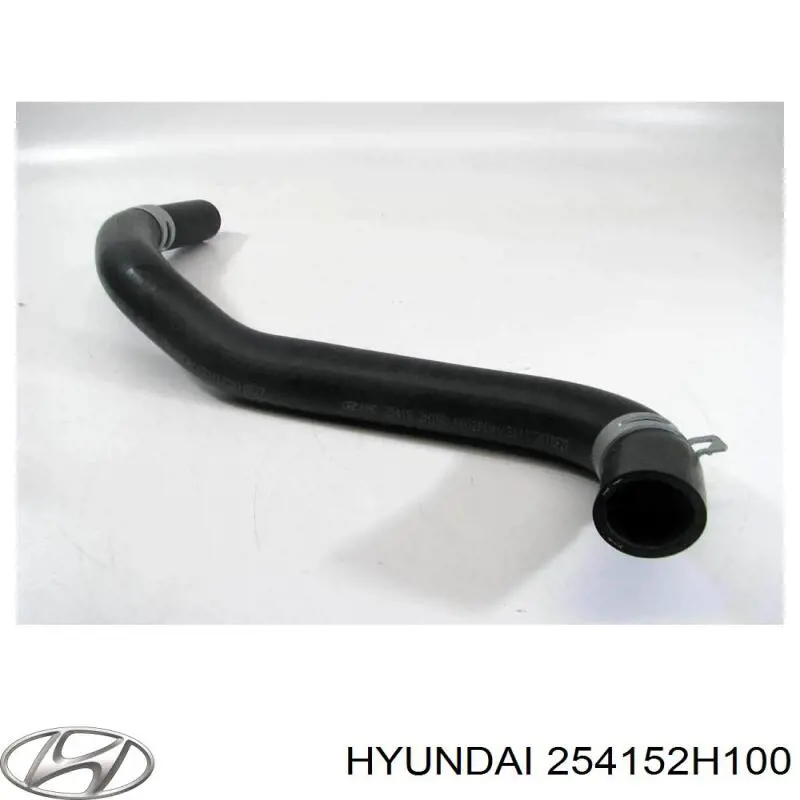 Do koszyka 254152H100 Hyundai/Kia Przewód (króciec) chłodnicy dolny