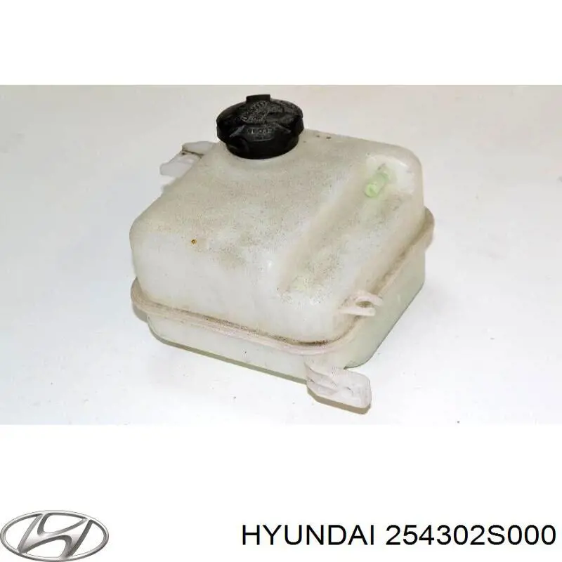 Do koszyka Zbiorniczek wyrównawczy układu chłodzenia KIA Sportage III SL