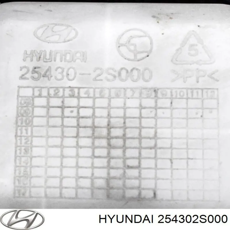  Zbiorniczek wyrównawczy układu chłodzenia KIA Sportage 3