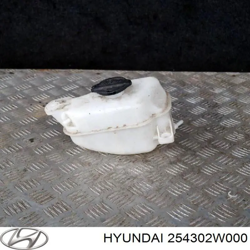 Zbiorniczek wyrównawczy układu chłodzenia Hyundai/Kia 254302W000 cena, od 15,40 USD