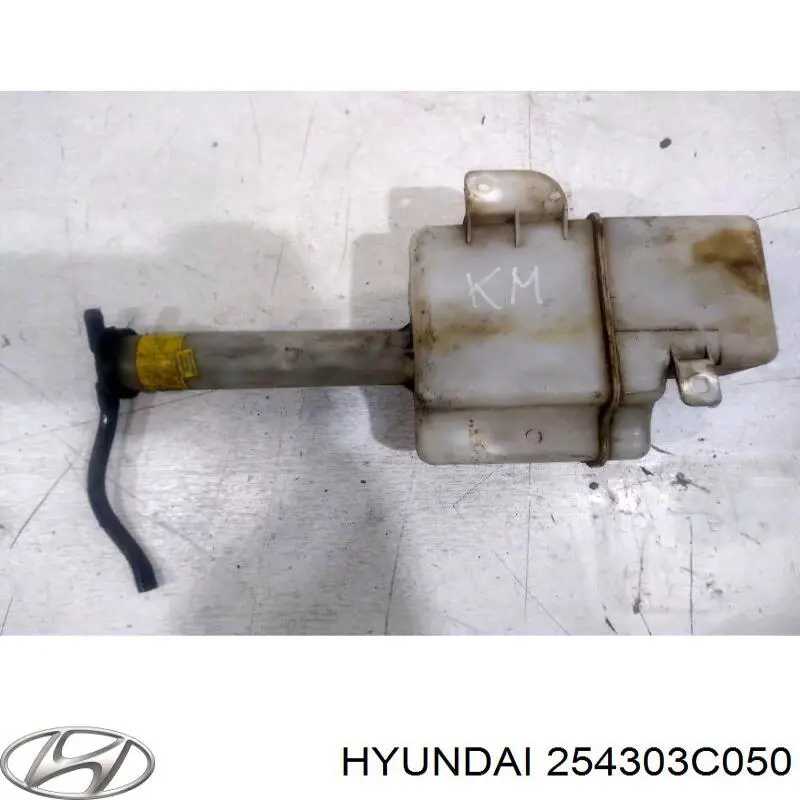 Zbiorniczek wyrównawczy układu chłodzenia do Hyundai Sonata IV EU4