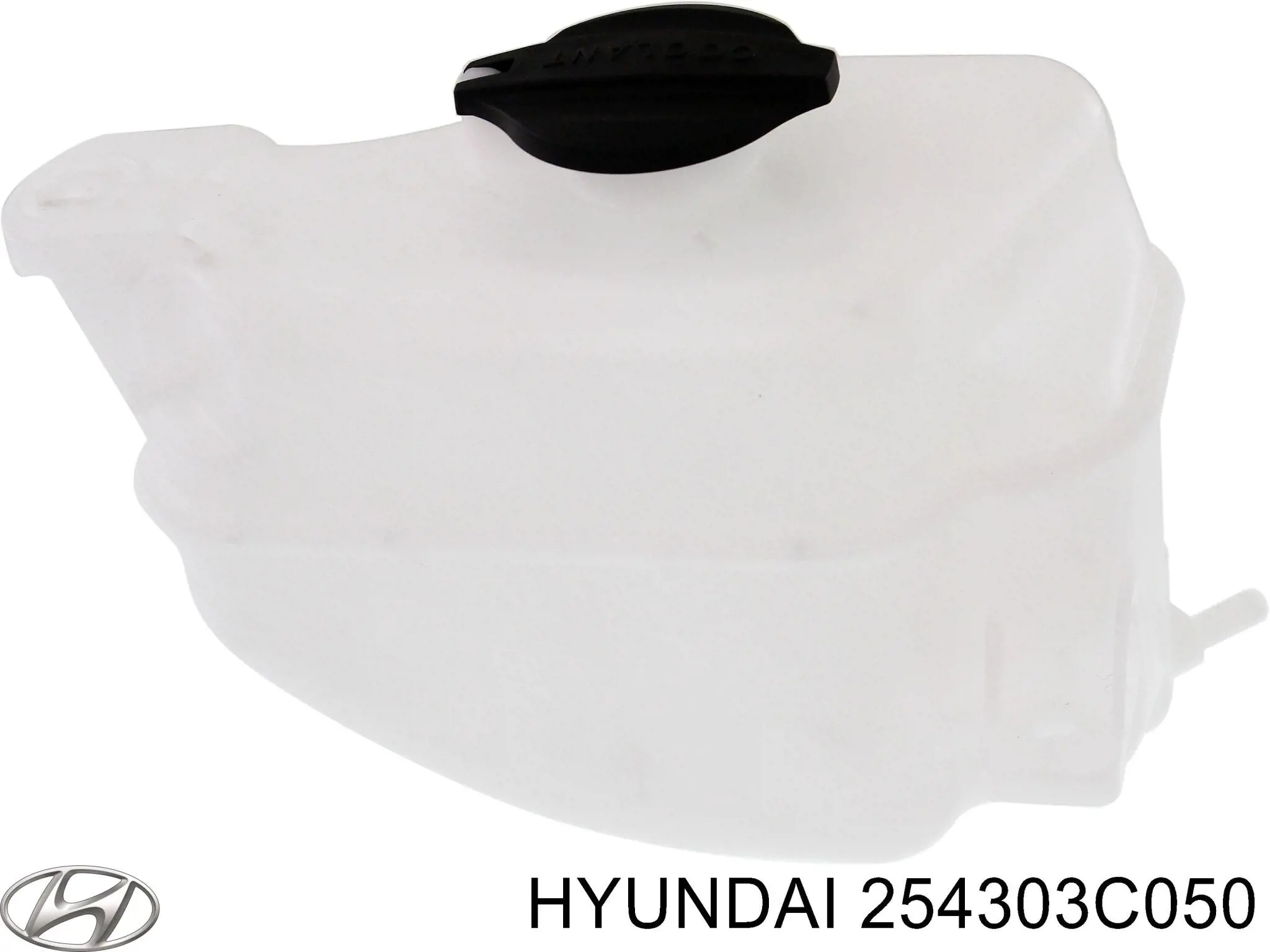 Zbiorniczek wyrównawczy układu chłodzenia Hyundai Sonata IV sedana (EU4) (2001 - 2005) cena, od  