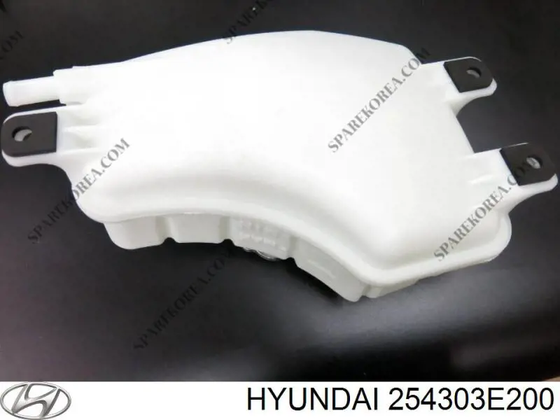 Do koszyka 254313E201 Hyundai/Kia Zbiorniczek wyrównawczy układu chłodzenia
