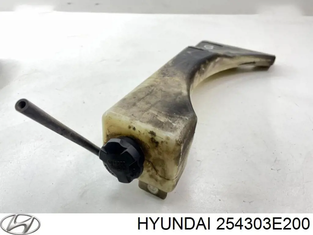 Zbiorniczek wyrównawczy układu chłodzenia Hyundai/Kia 254313E201 cena, od 56,45 USD