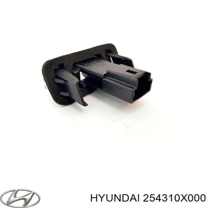 Zbiorniczek wyrównawczy układu chłodzenia Hyundai/Kia 254310X000 cena, od 38,15 USD