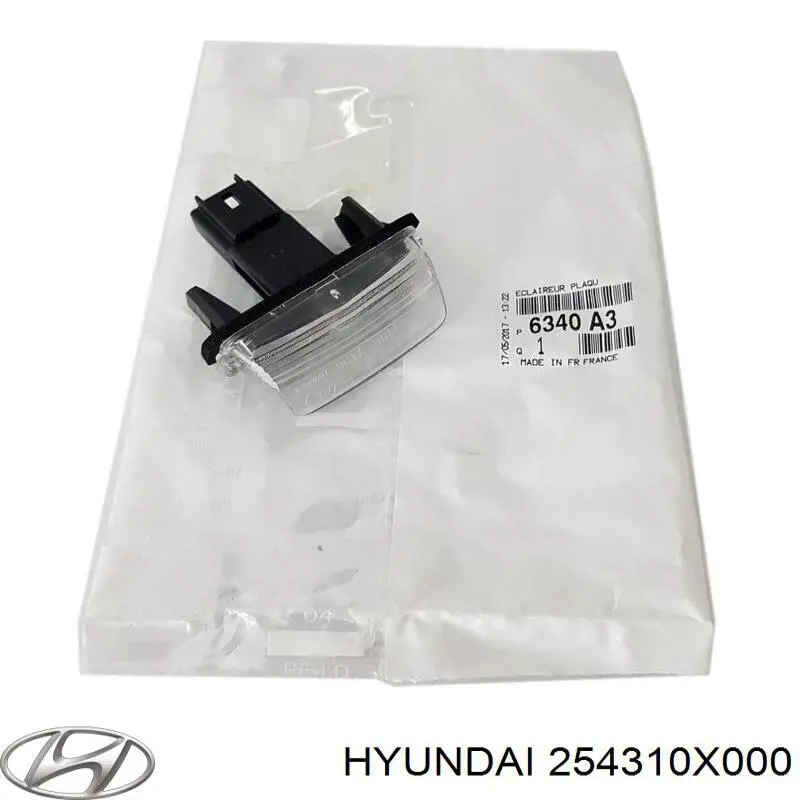 254310X000 Hyundai/Kia Zbiorniczek wyrównawczy układu chłodzenia