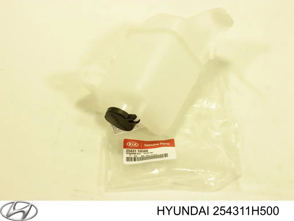 254311H500 Hyundai/Kia Zbiorniczek wyrównawczy układu chłodzenia