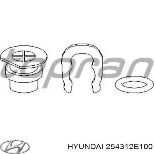Zbiorniczek wyrównawczy układu chłodzenia Hyundai/Kia 254312E100 cena, od 46,90 USD