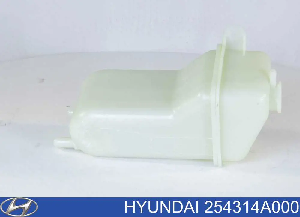 Do koszyka 254314A000 Hyundai/Kia Zbiorniczek wyrównawczy układu chłodzenia