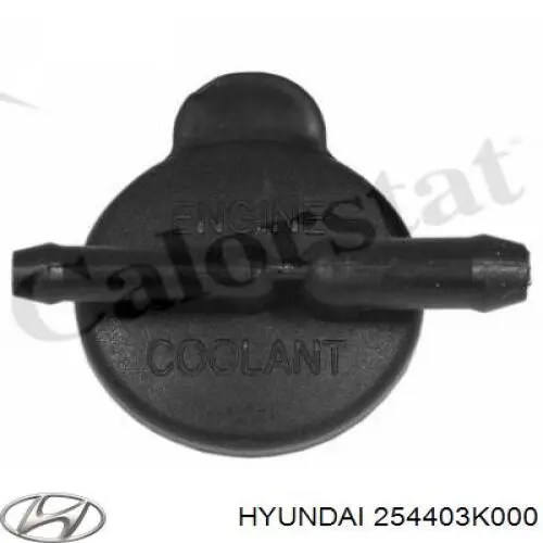254403K000 Hyundai/Kia Pokrywa (korek) zbiornika wyrównawczego