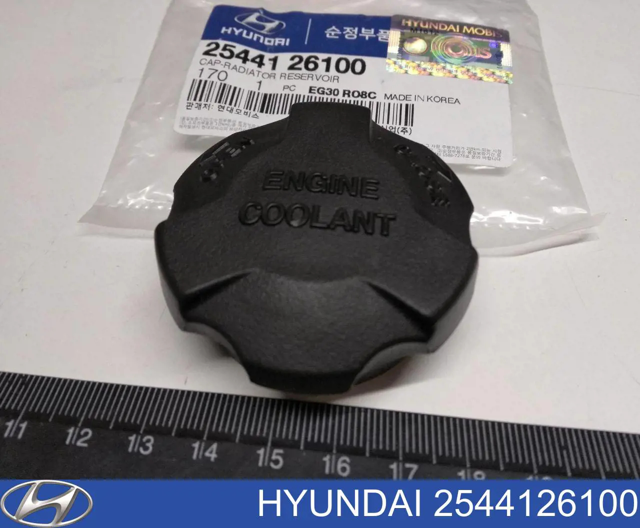 2544126100 Hyundai/Kia Pokrywa (korek) zbiornika wyrównawczego