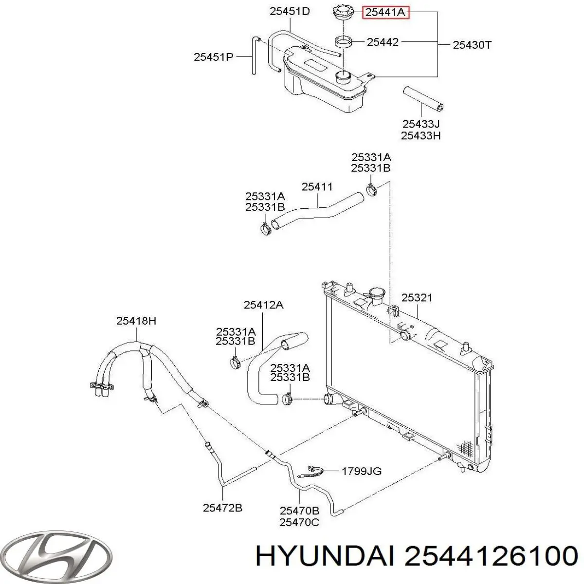Do koszyka 2544126100 Hyundai/Kia Pokrywa (korek) zbiornika wyrównawczego