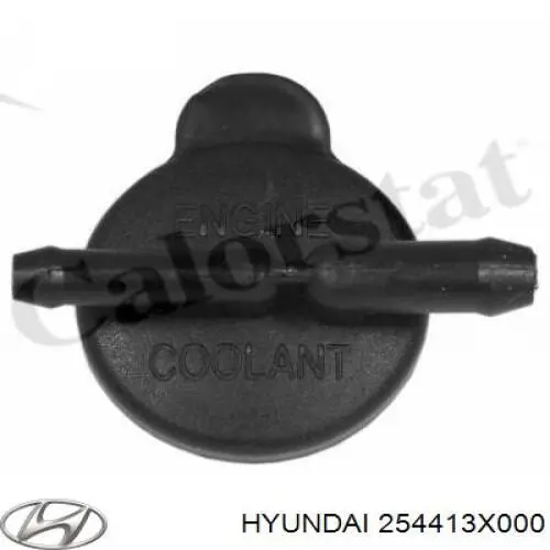 254413X000 Hyundai/Kia Pokrywa (korek) zbiornika wyrównawczego