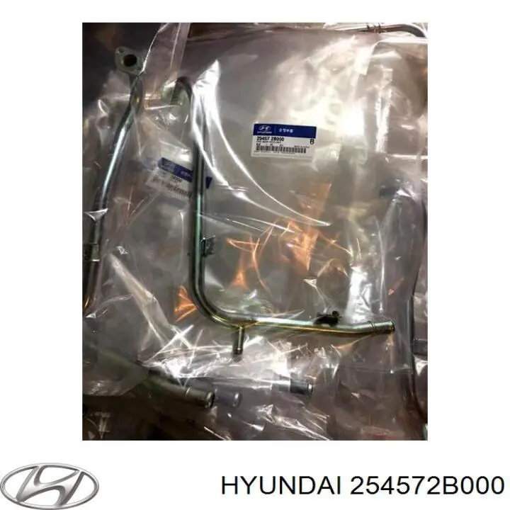 254572B000 Hyundai/Kia Przewód (króciec) pompy wodnej odbiorczy