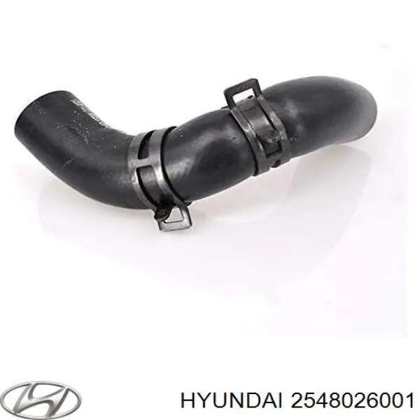 Przewód (króciec) układu chłodzenia Hyundai/Kia 2548026001 cena, od 8,51 USD