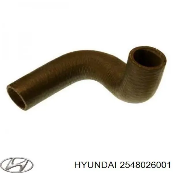 2548026001 Hyundai/Kia Przewód (króciec) układu chłodzenia