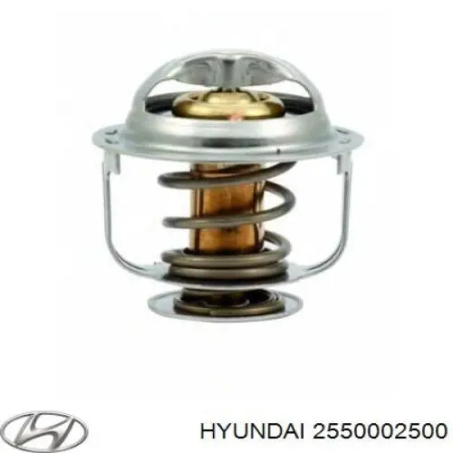 2550002500 Hyundai/Kia Termostat