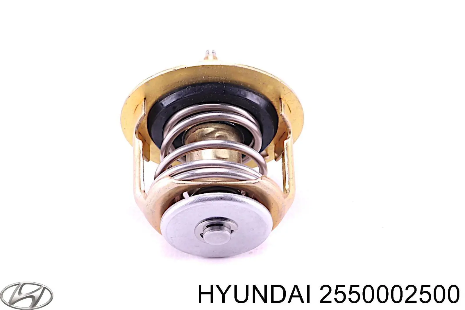 Do koszyka 2550002500 Hyundai/Kia Termostat