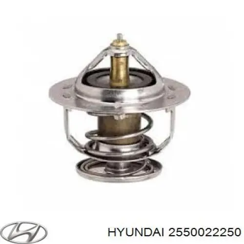 Termostat Hyundai/Kia 2550022250 cena, od 15,96 USD