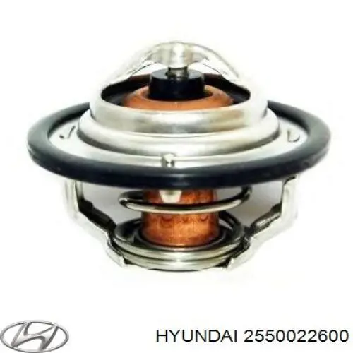 2550022600 Hyundai/Kia Termostat