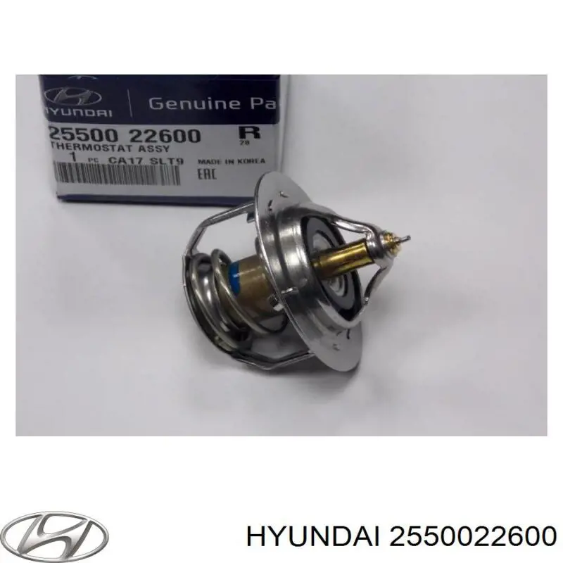 Do koszyka 2550022600 Hyundai/Kia Termostat