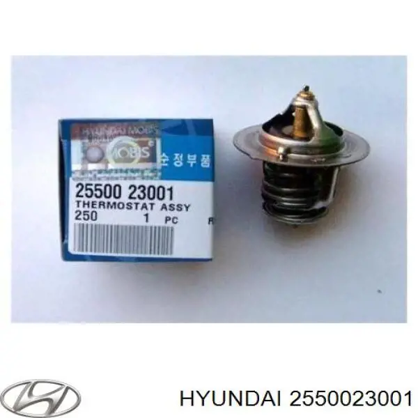 2550023001 Hyundai/Kia Termostat