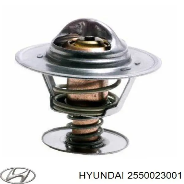 Termostat Hyundai/Kia 2550023001 cena, od 6,86 USD