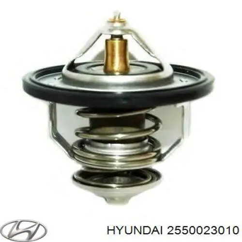 2550023010 Hyundai/Kia termostat