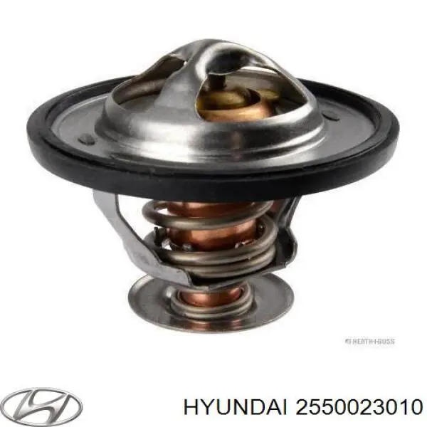 2550023010 Hyundai/Kia Termostat