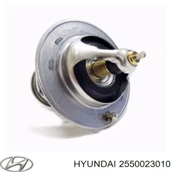 2550023010 Hyundai/Kia Termostat