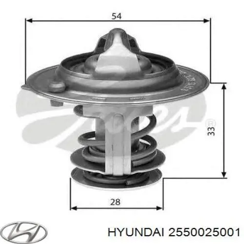 Termostat Hyundai/Kia 2550025001