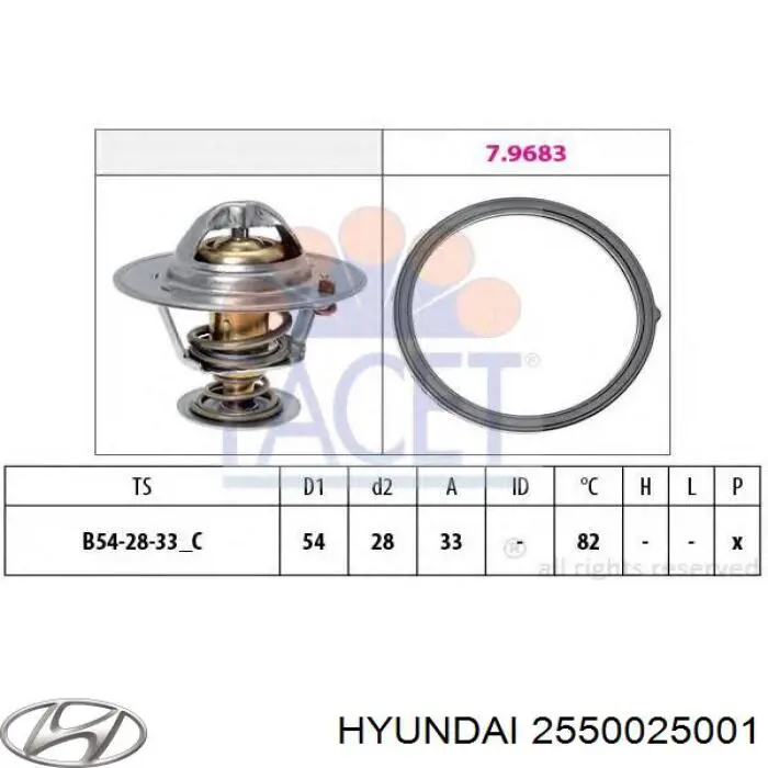 2550025001 Hyundai/Kia Termostat