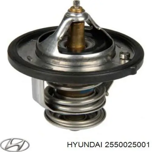 2550025001 Hyundai/Kia termostat