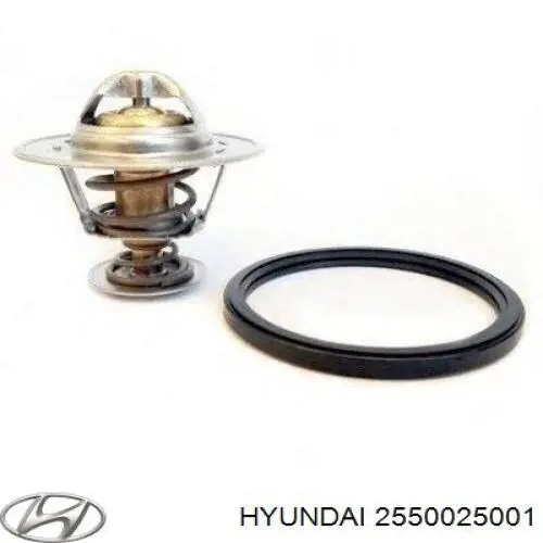 2550025001 Hyundai/Kia Termostat
