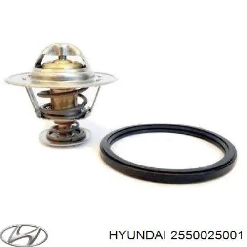 Termostat Hyundai/Kia 2550025001 cena, od 13,69 USD