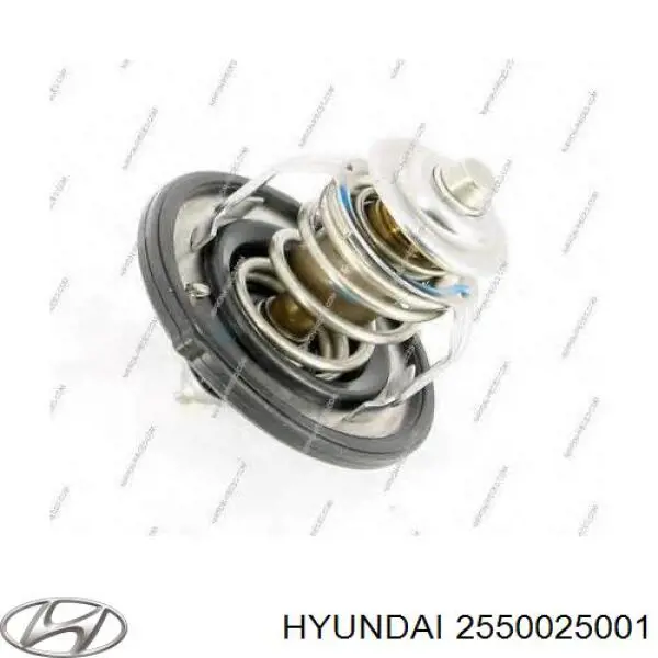 Do koszyka 2550025001 Hyundai/Kia Termostat