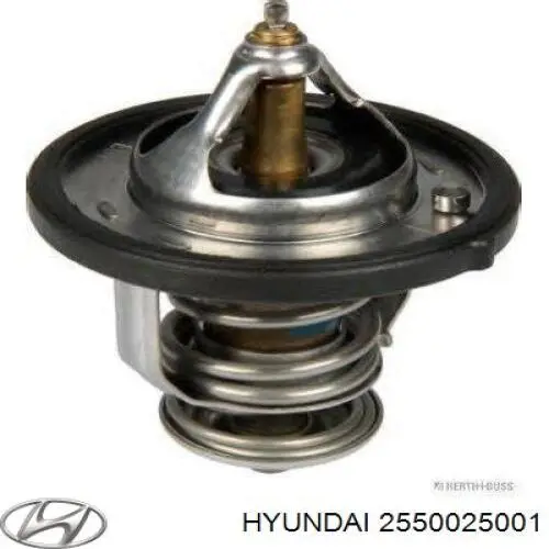 Termostat 2550025001 Hyundai/Kia