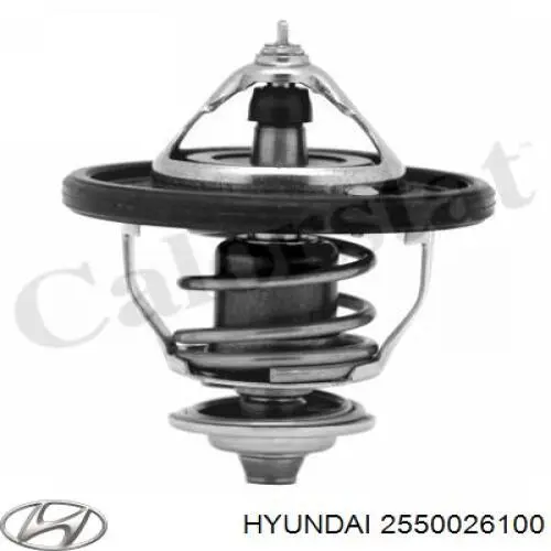 Termostat 2550026100 Hyundai/Kia