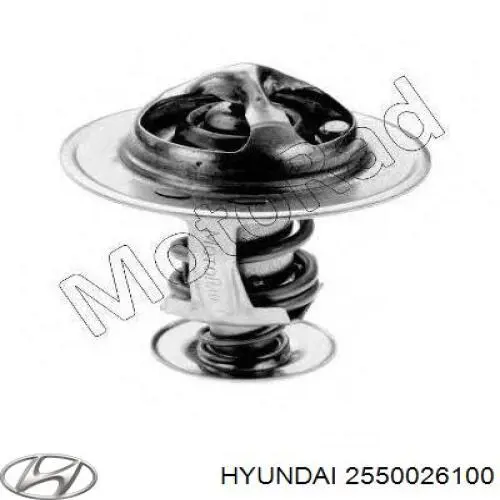 Do koszyka 2550026100 Hyundai/Kia Termostat