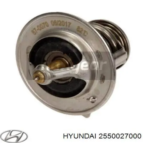 2550027000 Hyundai/Kia termostat