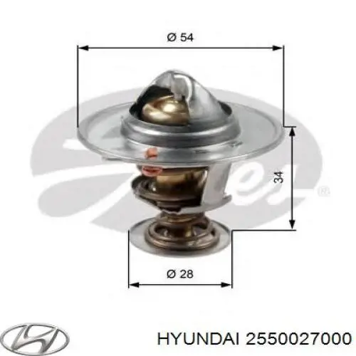 2550027000 Hyundai/Kia Termostat