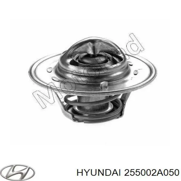 Do koszyka 255002A050 Hyundai/Kia Termostat
