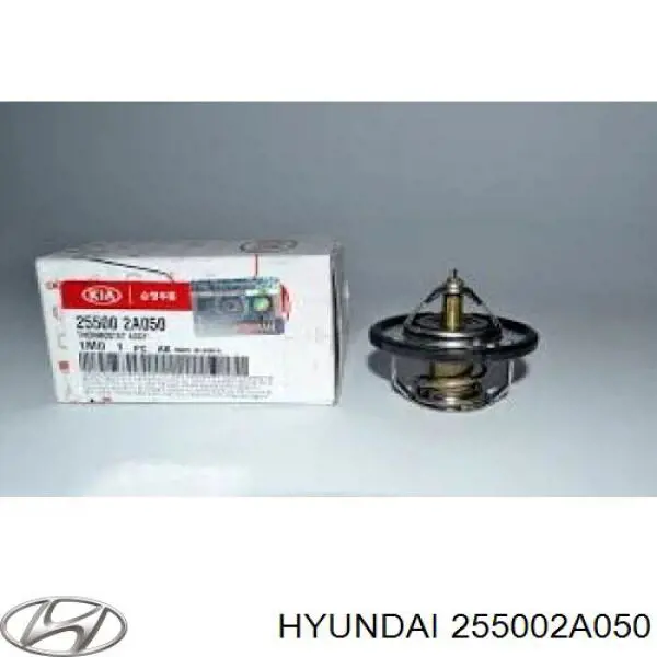255002A050 Hyundai/Kia Termostat